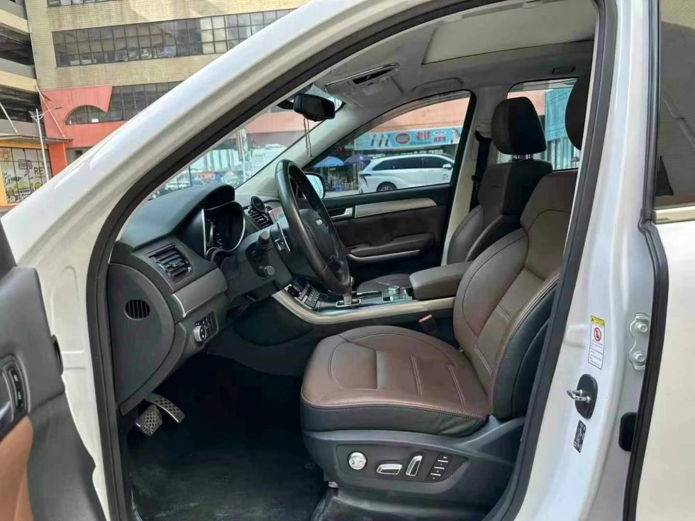 2017 Enjoy Edition Havel H8 2.0T Used Car For Sale