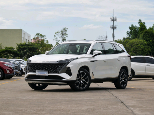 2023 Popular Style Roewe RX9 2.0T Brand New Car For Sale